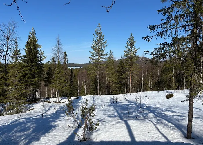 Ruka Mustalampi Satakieli Moekki 5 木屋 *