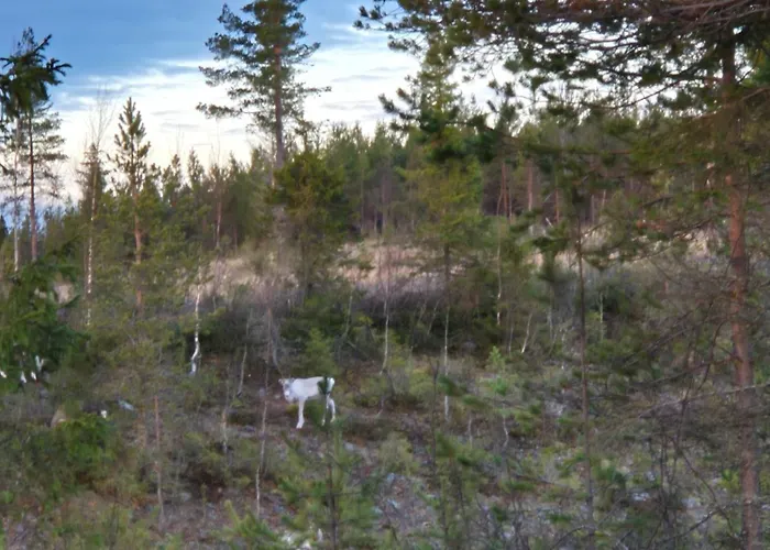 Ruka Mustalampi Satakieli Moekki 5 בקתה *